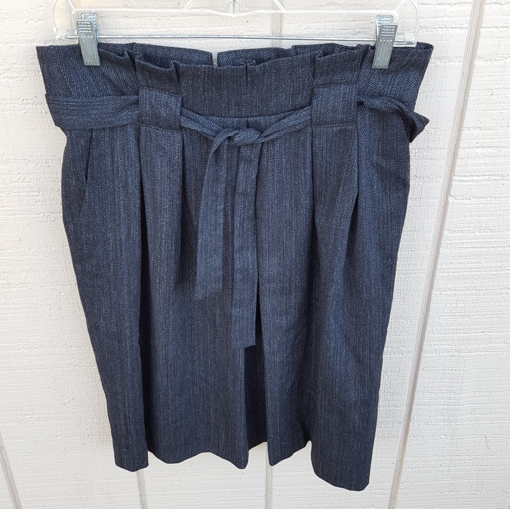 Gerard Darel EU 40 Gray Skirt with Pleated Waist